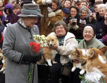 Queen Elizabeth II talks with members of the Manitoba Corgi Association during a visit to Winnipeg, Canada, in October 2002. (Adrian Wyld/AFP via Getty Images)