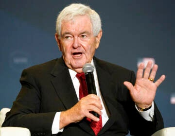 Newt Gingrich holds a microphone while gesturing.