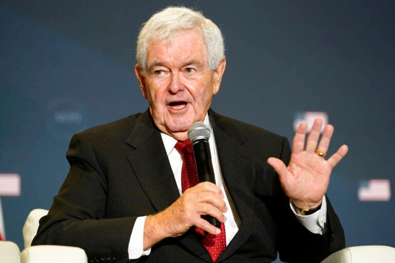 Newt Gingrich holds a microphone while gesturing.