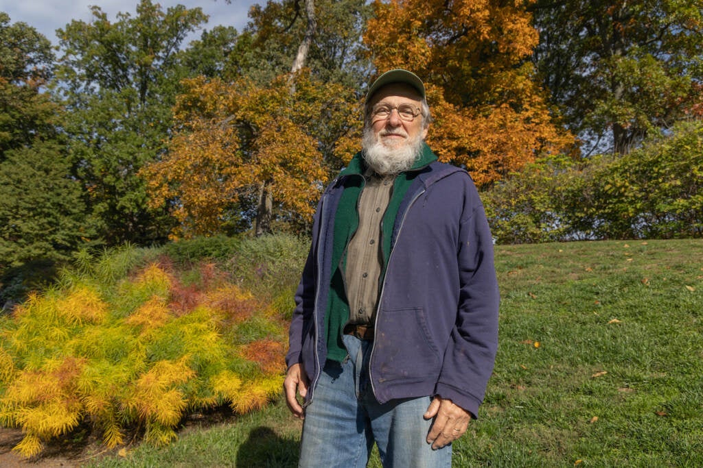 Bob Gutowski, a former employee of Morris Arboretum and now volunteer, poses with an amsonia