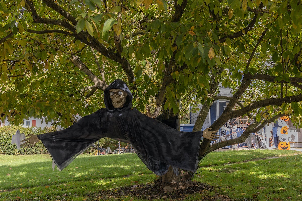 A phantom gestures for a hug under a tree in Chestnut Hill.