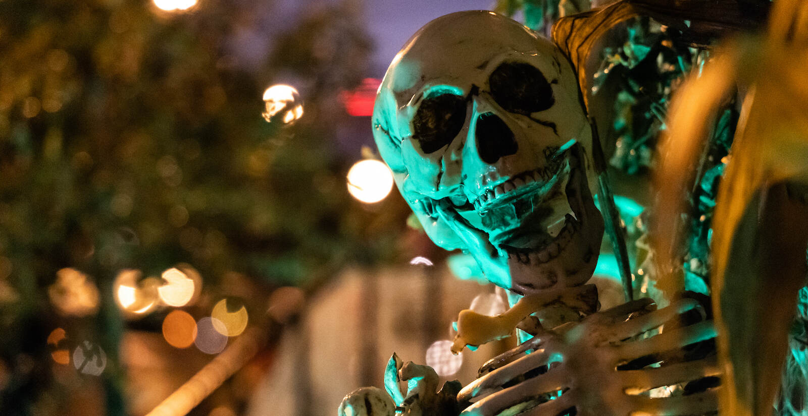 A close-up of a skeleton in Philadelphia.