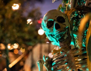 A close-up of a skeleton in Philadelphia.