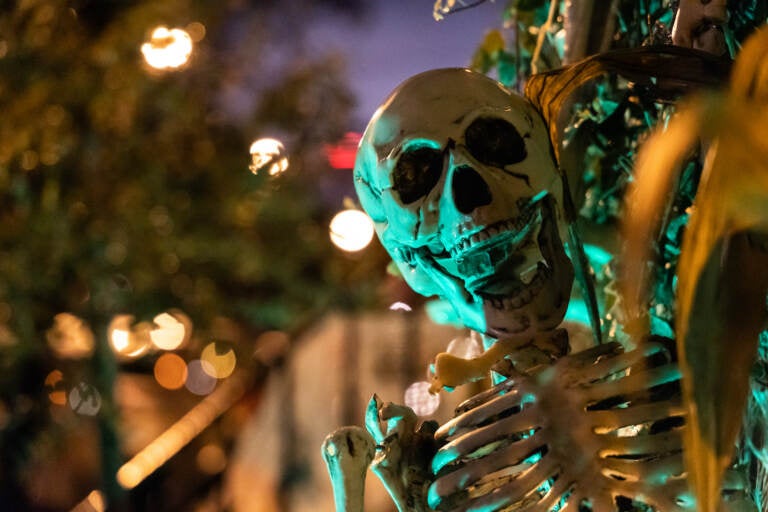 A close-up of a skeleton in Philadelphia.