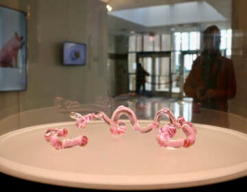 An up-close image of pink vials in twisted shapes in a glass display, with a room and someone's silhouette visible in the background.