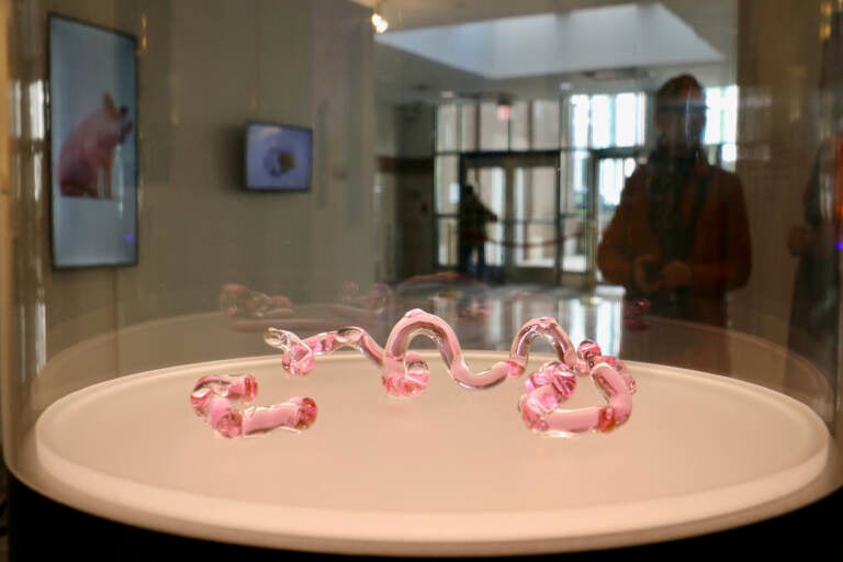 An up-close image of pink vials in twisted shapes in a glass display, with a room and someone's silhouette visible in the background.