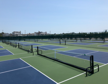 A view of pickleball courts on a sunny day.