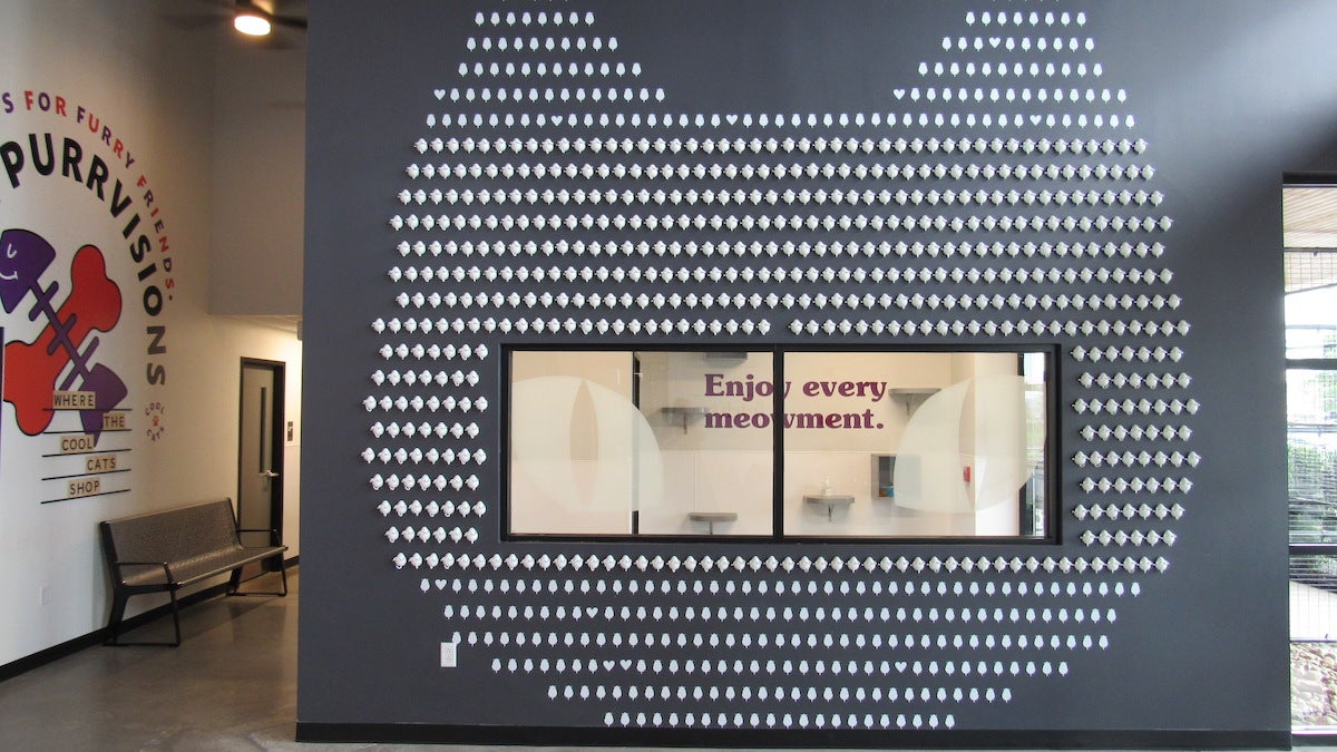 Brandywine Valley SPCA opens ‘largest animal welfare facility’ WHYY