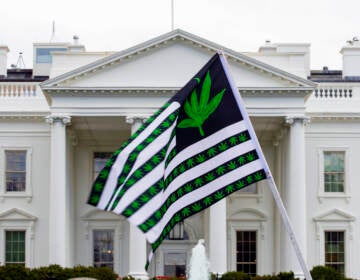 A demonstrator waves a marijuana-themed flag in front on the White House. President Biden is pardoning thousands of Americans convicted of 'simple possession' of marijuana under federal law. (Jose Luis Magana/AP)