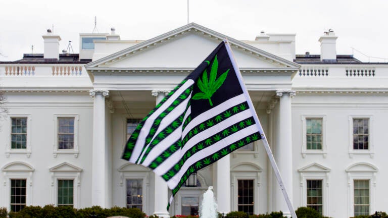 A demonstrator waves a marijuana-themed flag in front on the White House. President Biden is pardoning thousands of Americans convicted of 'simple possession' of marijuana under federal law. (Jose Luis Magana/AP)