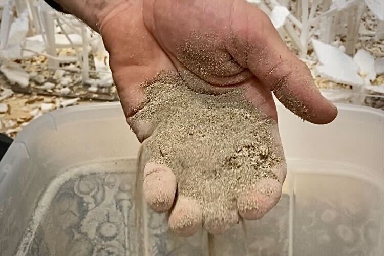 A close-up of a hand holding dirt.