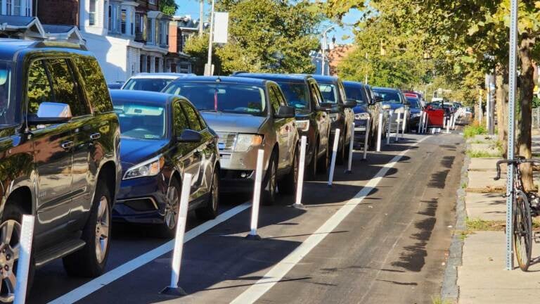 A bike lane is separated by white poles from parked cars.