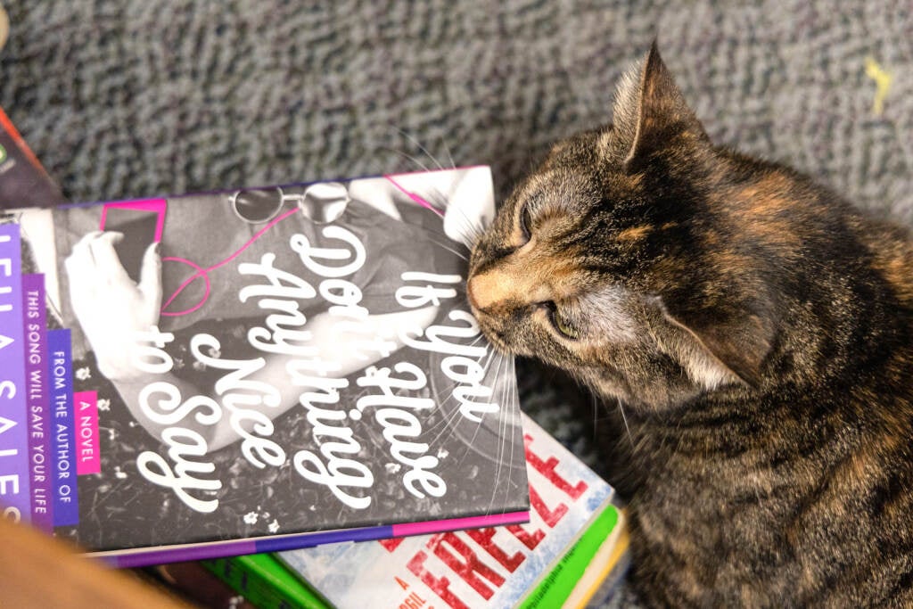 A cat puts her head on top of a stack of books.