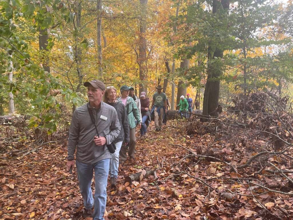 A group of people walk single file through the woods.