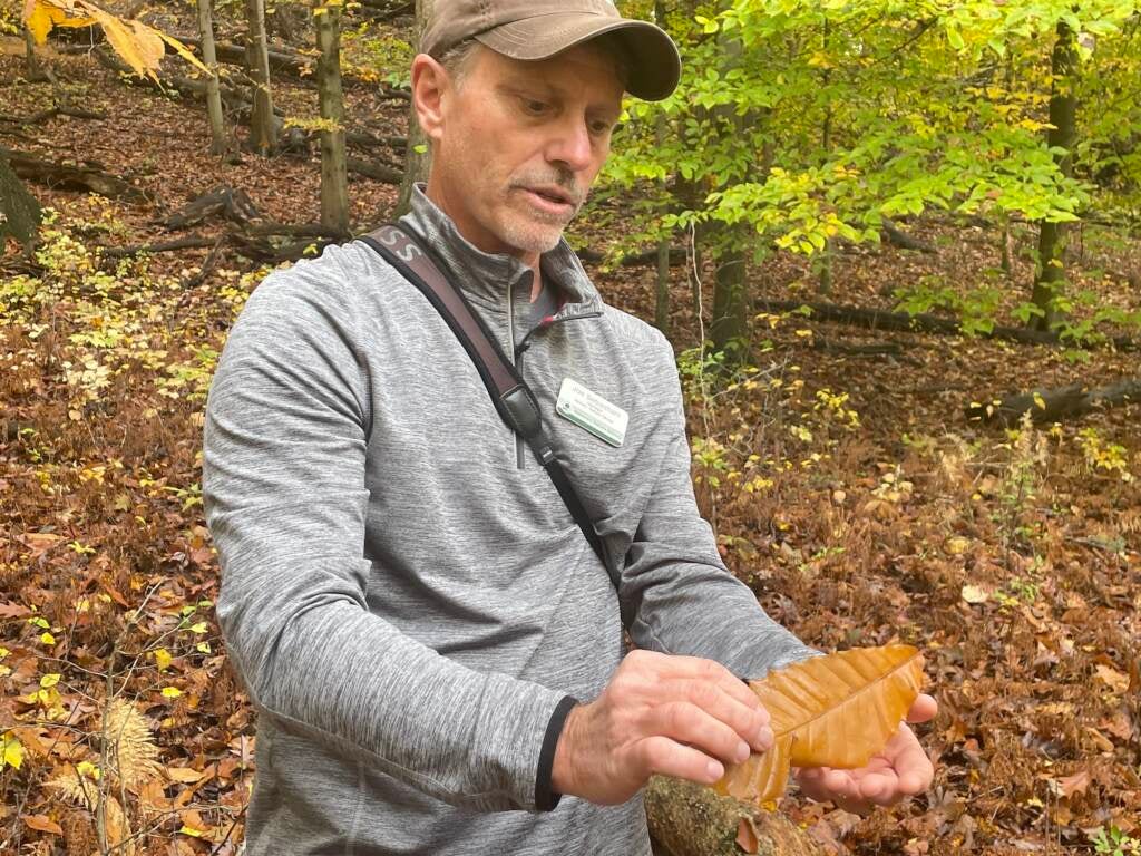 A man holds up a leaf in the middle of a forest.