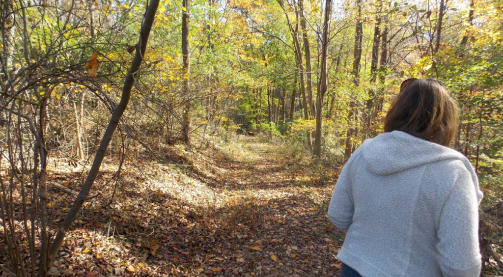 A woman is seen walking on a trail in the woods in fall.