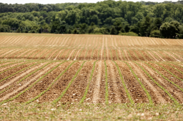 Pennsylvania’s $81.5 billion agriculture sector supported 301,900 jobs and $14.5 billion in labor income in 2019, according to the state Department of Agriculture. (Commonwealth Media Services)