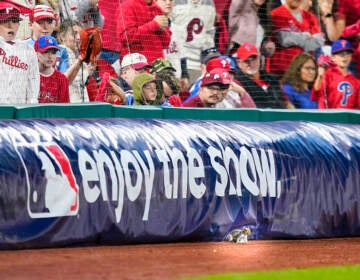 A squirrel is seen on the field as fans cheers during the seventh inning in Game 3 of baseball's National League Division Series between the Philadelphia Phillies and the Atlanta Braves, Friday, Oct. 14, 2022, in Philadelphia. (AP Photo/Matt Slocum)