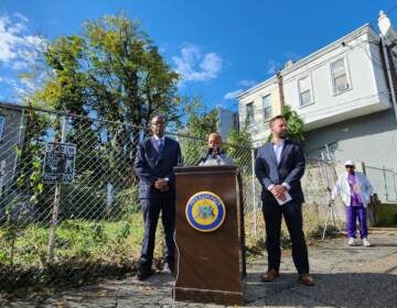 Council President Darrell Clarke and Cindy Bass stand in front one of 'thousands of trees' Bass says will be removed by program. (Tom MacDonald/WHYY)