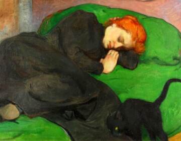 (Sleeping Woman With a Cat by Władysław Ślewiński, 1896)