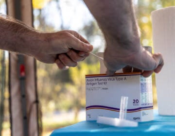 A close-up of hands opening a box that is a test kit for avian flu.