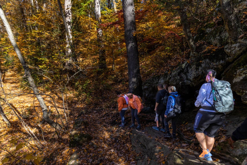 People walk down a trail in the woods.