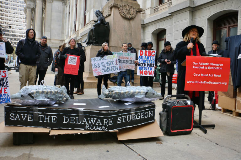 A group of protesters gather outside Philadelphia City Hall to call for measures to protect the Delaware River's dwindling Atlantic sturgeon population. (Emma Lee/WHYY)