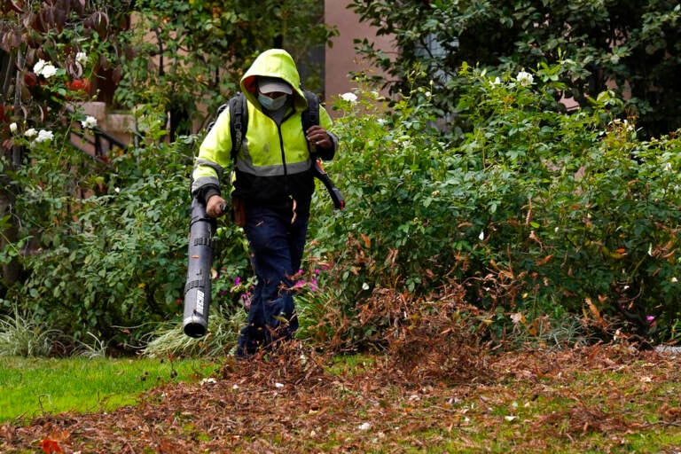 Should we ban gas-powered leaf blowers? - WHYY