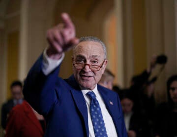 Senate Majority Leader Chuck Schumer, D-N.Y., speaks to reporters following a closed-door policy meeting on the Democrats' lame duck agenda, at the Capitol in Washington, Tuesday, Nov. 15, 2022. (AP Photo/J. Scott Applewhite)