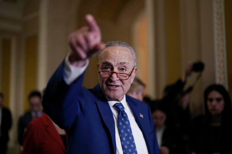 Senate Majority Leader Chuck Schumer, D-N.Y., speaks to reporters following a closed-door policy meeting on the Democrats' lame duck agenda, at the Capitol in Washington, Tuesday, Nov. 15, 2022. (AP Photo/J. Scott Applewhite)