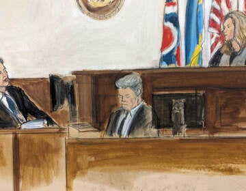 In this courtroom sketch Tesla CEO Elon Musk (left) testifies before Chancellor Kathaleen McCormick (seated right) in a courtroom in Wilmington, Del. (Elizabeth Williams via AP)