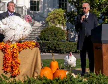 President Joe Biden, accompanied by Ronald Parker, Chairman of the National Turkey Federation, left, speaks next to Chocolate, the national Thanksgiving turkey, left, during a pardoning ceremony at the White House in Washington, Monday, Nov. 21, 2022. Chip, the national Thanksgiving turkey, is at bottom right. (AP Photo/Andrew Harnik)