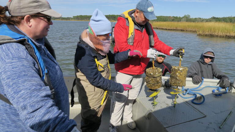 Researchers explain oyster recruitment and predation trials at field site. (Kurt Gust, ERDC)