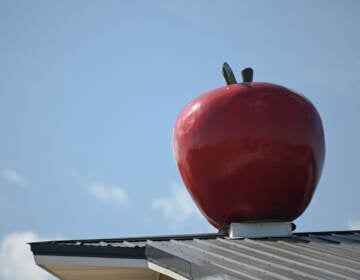 A close-up of a red fake apple with blue sky visible in the background.