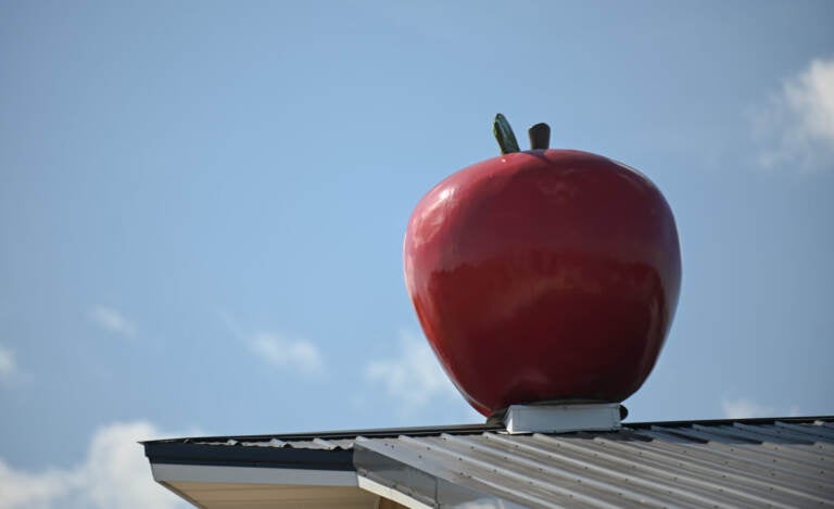 A close-up of a red fake apple with blue sky visible in the background.