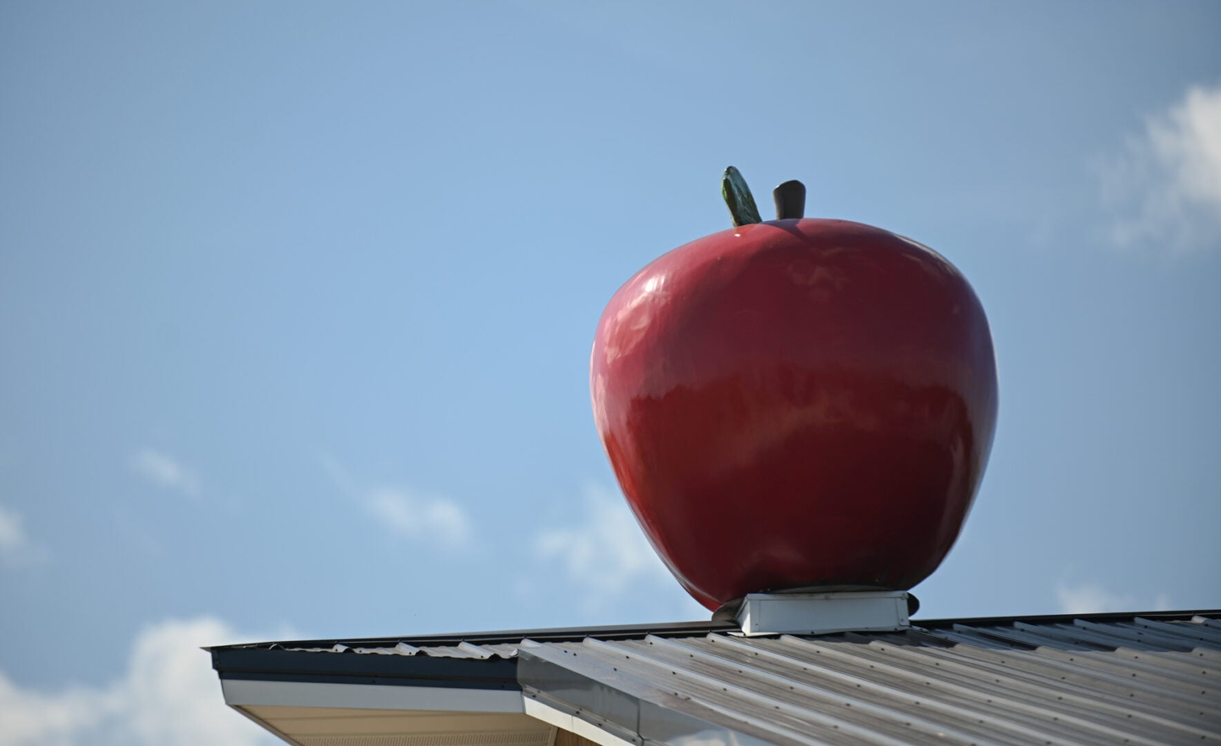 Cosmic Crisp apple bursting into orchards