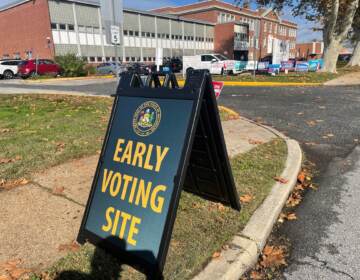 A sign reads Early Voting Site. A building is visible in the background.