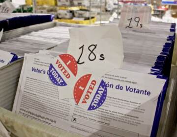 Philadelphia's 2020 mail ballots in a secure area at the Pa. Convention Center. (Emma Lee/WHYY)