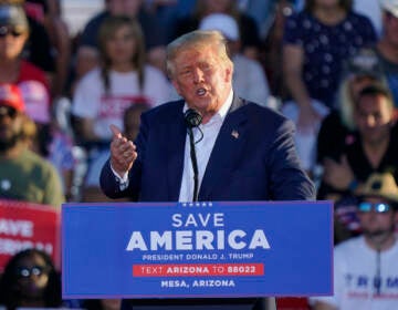 Former President Donald Trump speaks at a rally