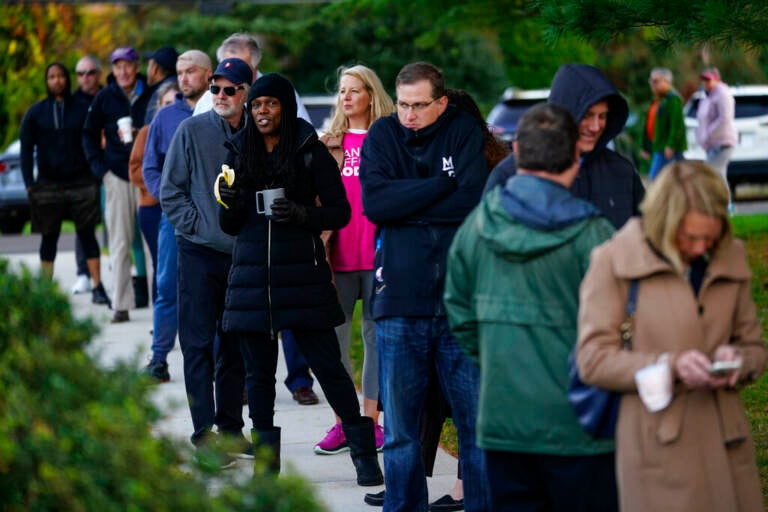 A line of people wait to vote.