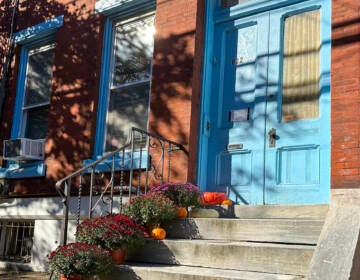 A stoop with chrysanthemums is visible in the morning light.