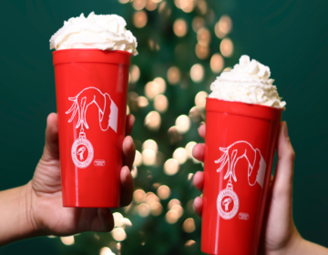 Two hands hold up red cups topped with whipped cream. A Christmas tree is visible in the background.