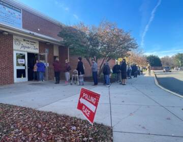 Delaware voters waited in line to cast their ballots at Skyline Middle School in Pike Creek. (Cris Barrish/WHYY)