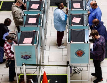 Voters stand in voting booths as they fill out their ballots