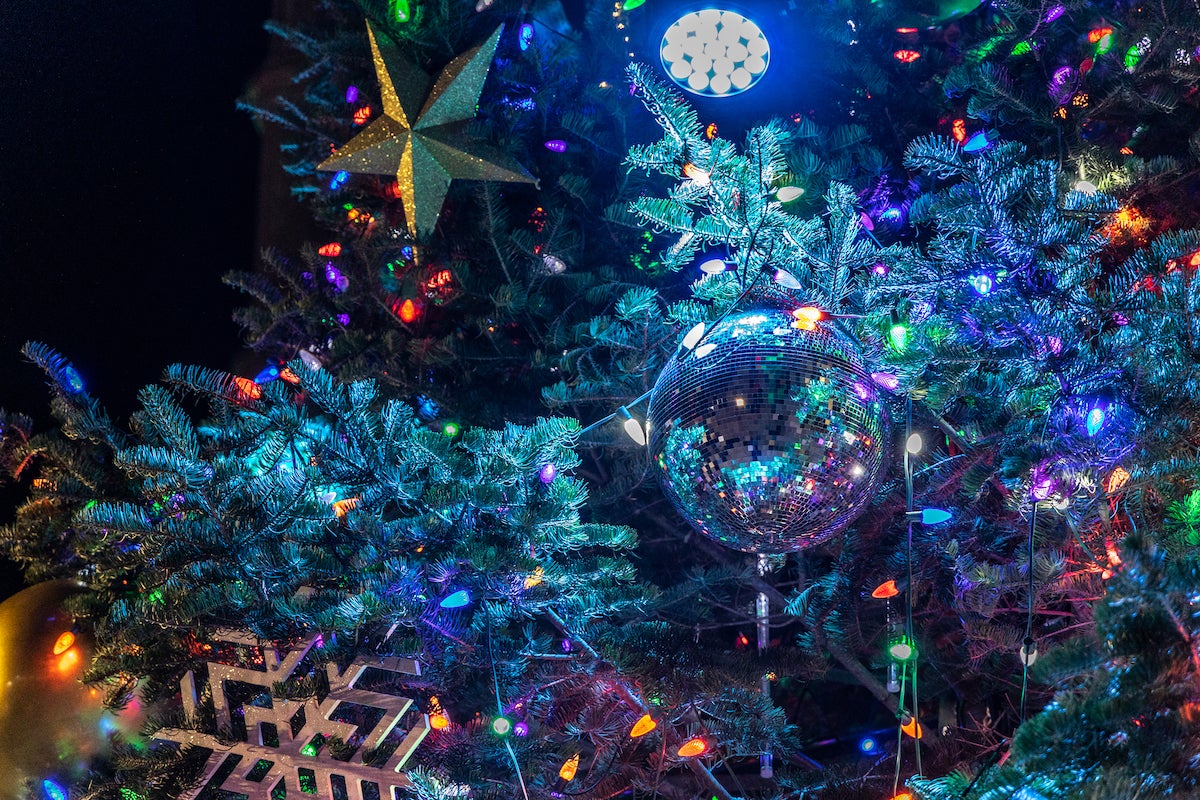 Philadelphia kicks off holiday season with tree lighting at City Hall