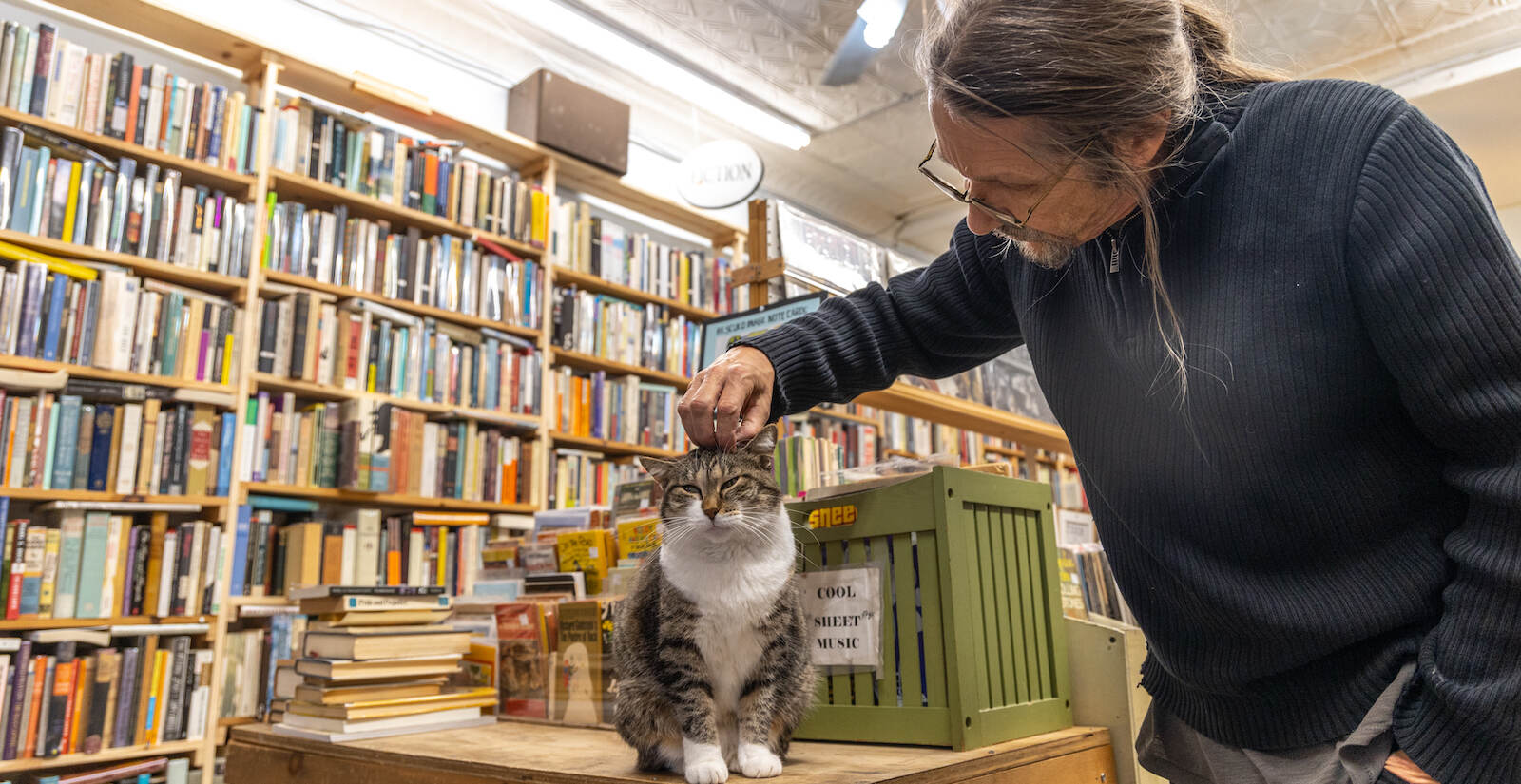 A cat gets some pets from Joe at Mollie’s Books and Records