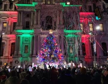 The tree is an Abie Concolor/White Fur, features 4,000 lights, and is 55 feet tall. It will be on display until Jan. 2. (Cory Sharber/WHYY)