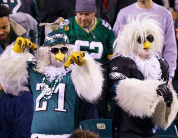 Philadelphia Eagles fans reacts during the NFL football game against the Green Bay Packers, Sunday, Nov. 27, 2022, in Philadelphia. (AP Photo/Chris Szagola)