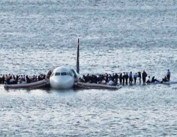 In this Thursday Jan. 15, 2009 file photo, airline passengers wait to be rescued on the wings of a US Airways Airbus 320 jetliner that safely ditched in the frigid waters of the Hudson River in New York, after a flock of birds knocked out both its engines. (AP Photo/Steven Day)