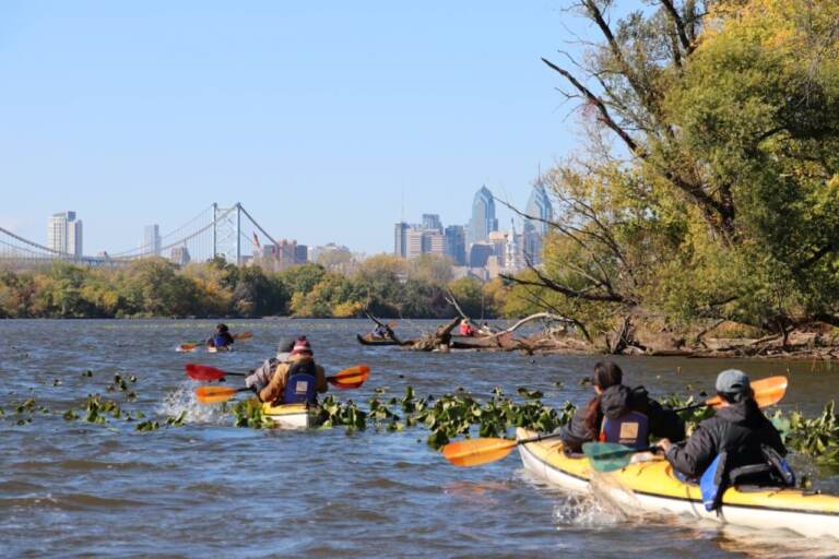 People paddle in boats along the Delaware River. The Philly skyline is visible in the background.